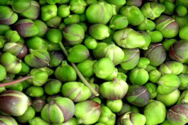Capres fraiches Pantelleria