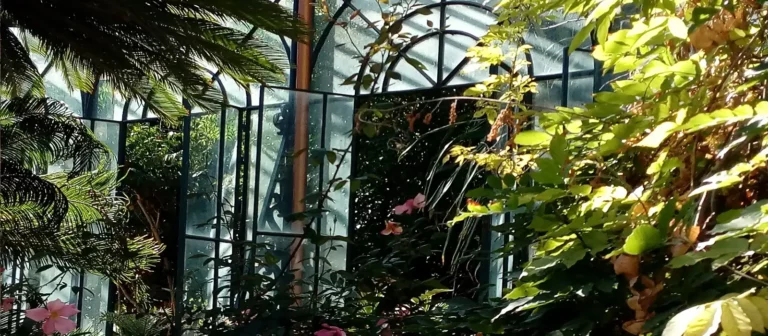 Jardin Botanique Palerme Sicile